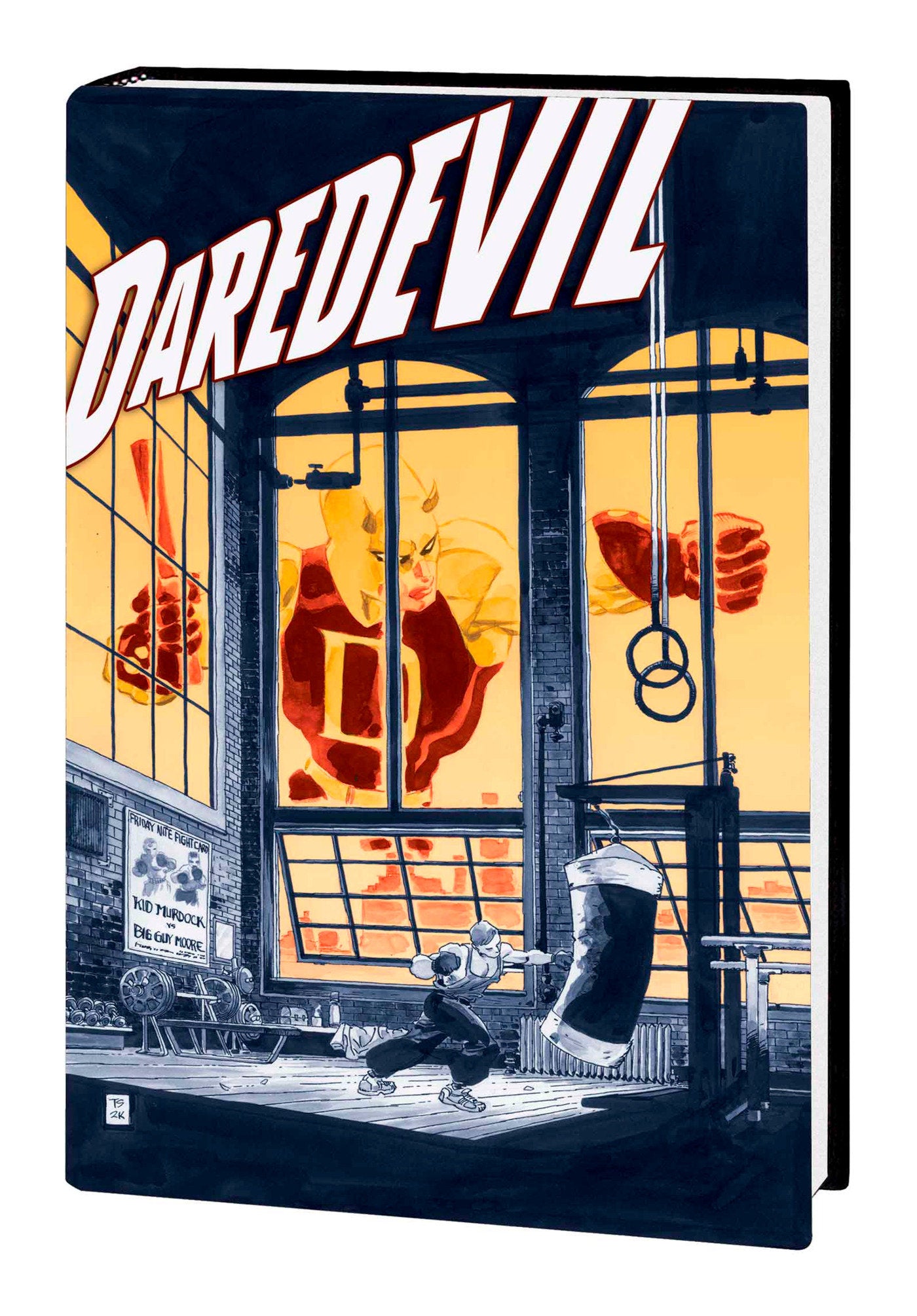 Jeph Loeb & Tim Sale: Daredevil Gallery Edition HC