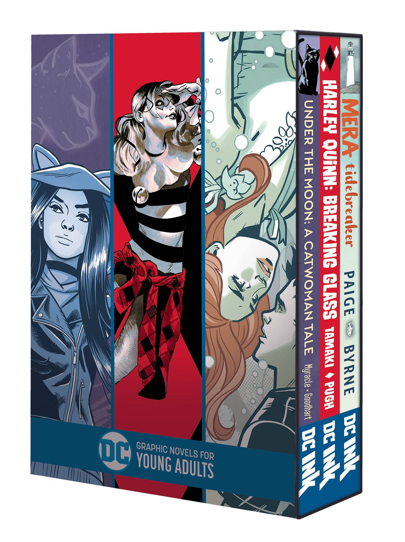 DC Graphic Novels For Young Adults - Box Set